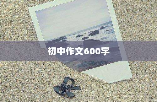 初中作文600字