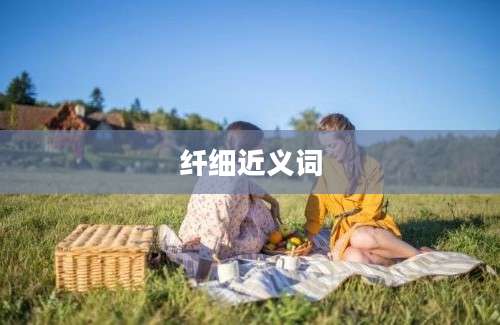 纤细近义词