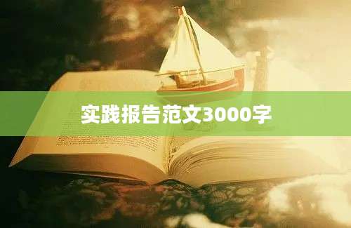 实践报告范文3000字