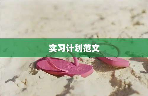 实习计划范文