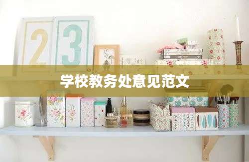 学校教务处意见范文