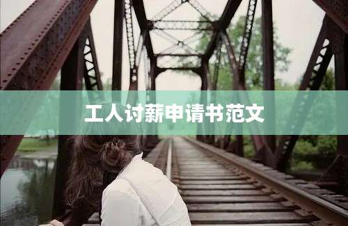工人讨薪申请书范文