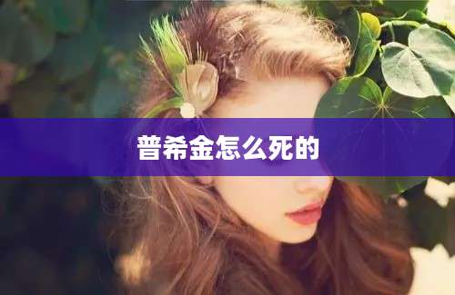 普希金怎么死的