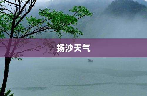 扬沙天气