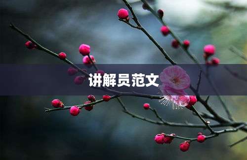 讲解员范文