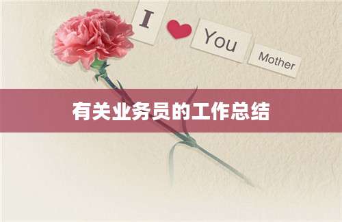 有关业务员的工作总结