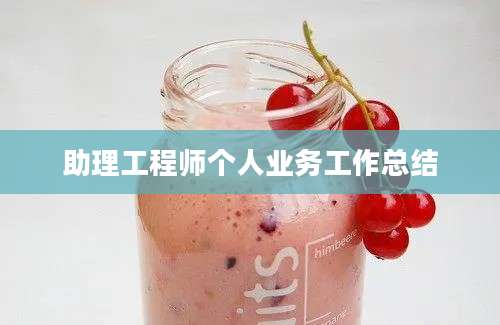 助理工程师个人业务工作总结