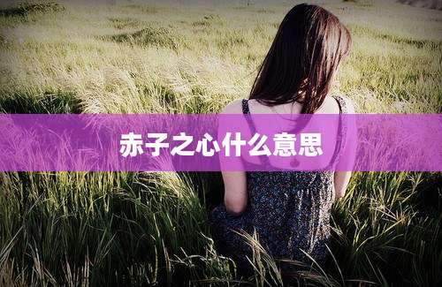 赤子之心什么意思