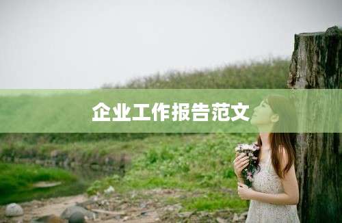 企业工作报告范文