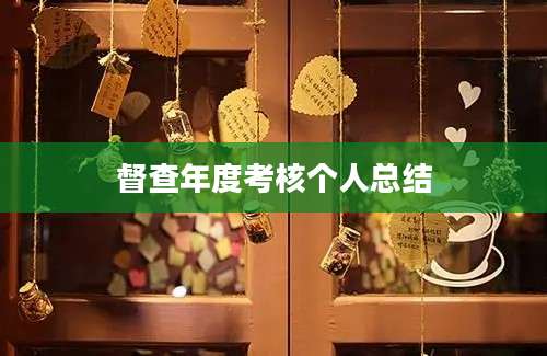 督查年度考核个人总结