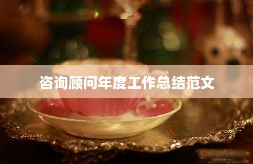 咨询顾问年度工作总结范文