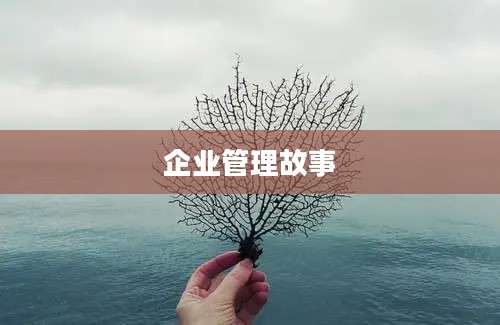 企业管理故事