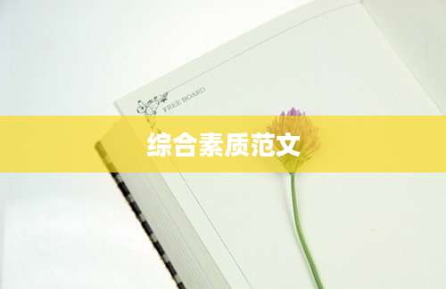 综合素质范文