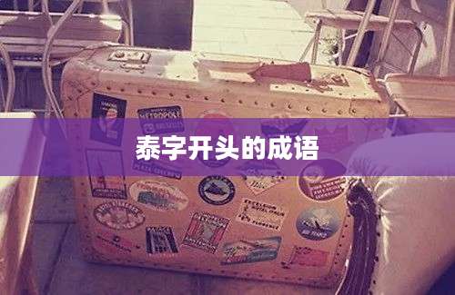 泰字开头的成语