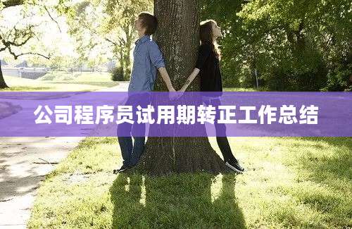 公司程序员试用期转正工作总结