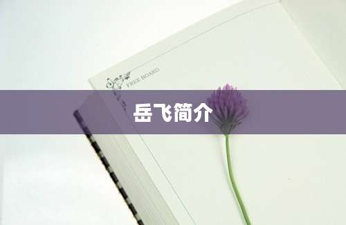 岳飞简介