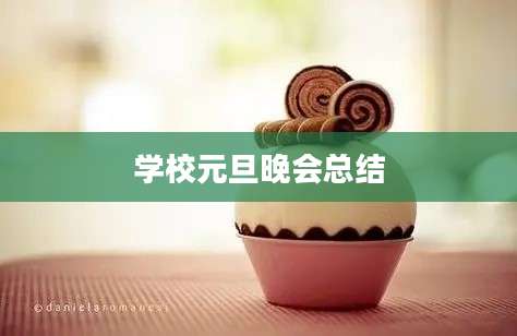 学校元旦晚会总结
