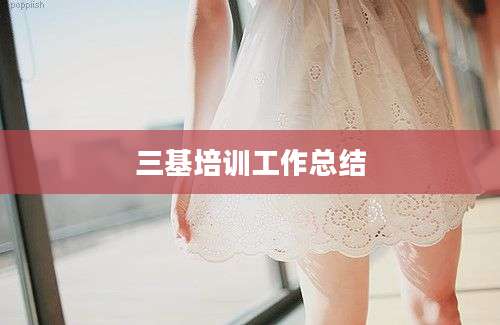 三基培训工作总结