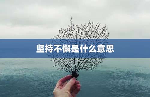 坚持不懈是什么意思