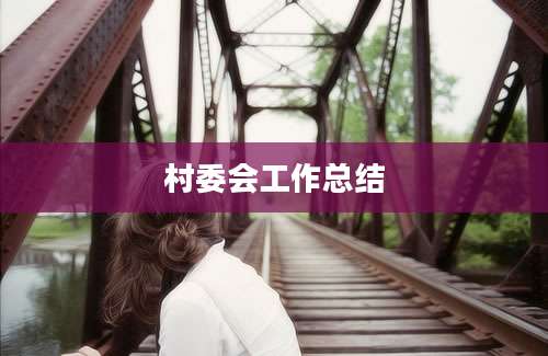 村委会工作总结