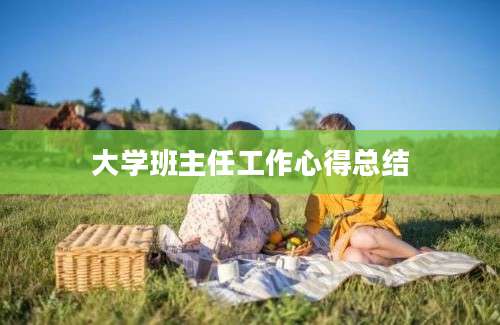 大学班主任工作心得总结