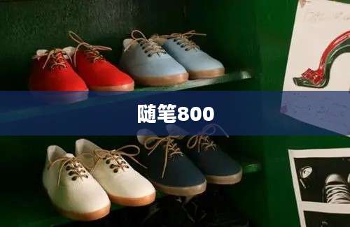 随笔800