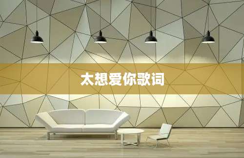太想爱你歌词