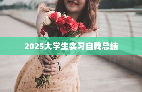 2025大学生实习自我总结