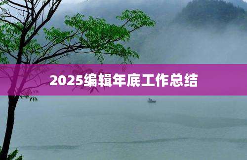 2025编辑年底工作总结