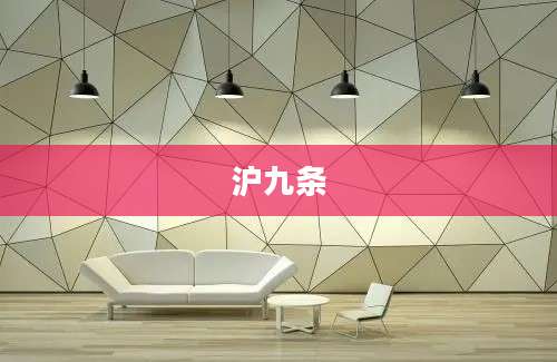 沪九条