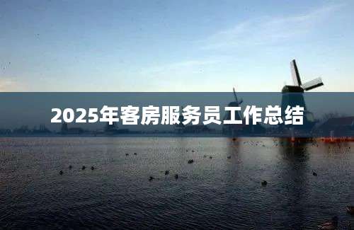 2025年客房服务员工作总结