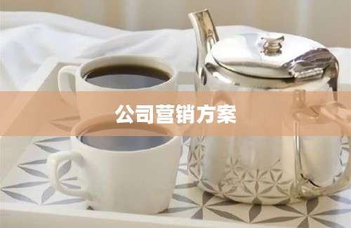 公司营销方案