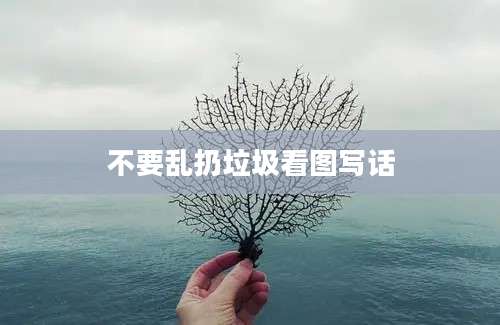 不要乱扔垃圾看图写话