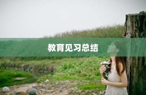 教育见习总结