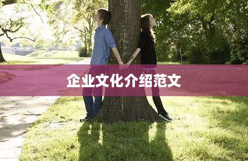 企业文化介绍范文