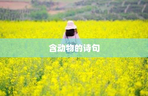 含动物的诗句