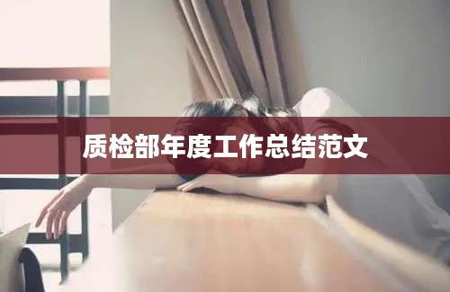 质检部年度工作总结范文
