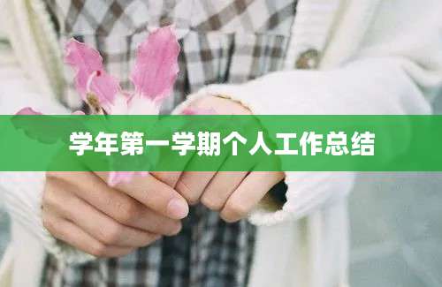 学年第一学期个人工作总结