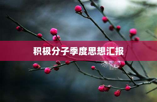 积极分子季度思想汇报