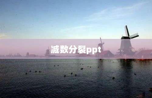 减数分裂ppt