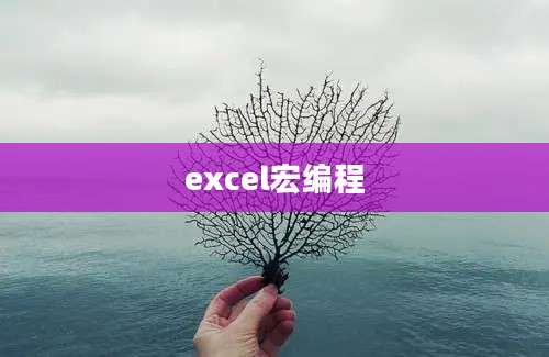 excel宏编程