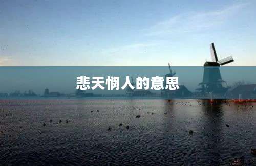 悲天悯人的意思