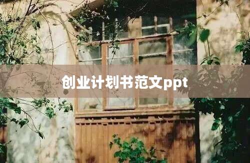 创业计划书范文ppt