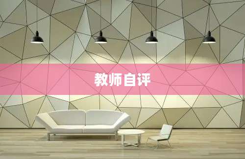 教师自评