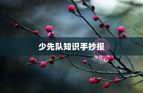 少先队知识手抄报