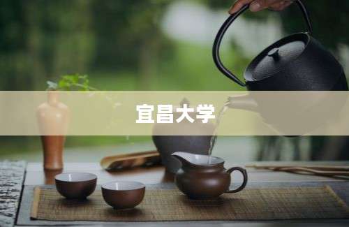 宜昌大学