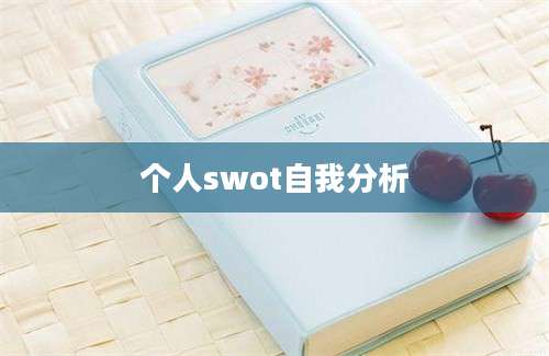 个人swot自我分析