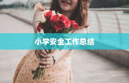 小学安全工作总结