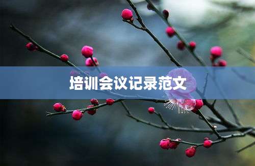 培训会议记录范文