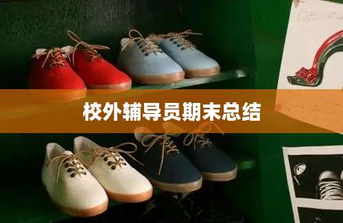 校外辅导员期末总结